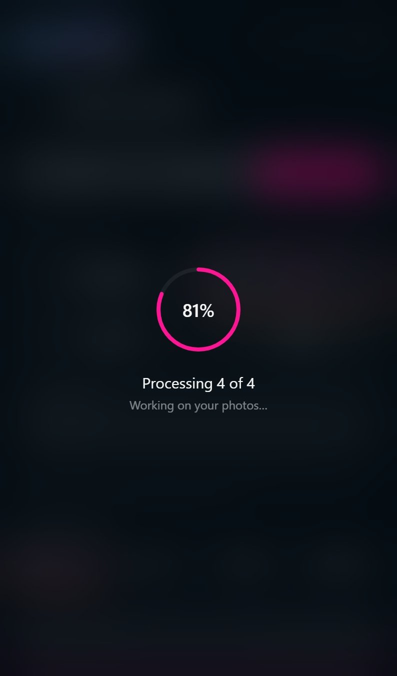 Processing screen at 81 percent showing 4 of 4